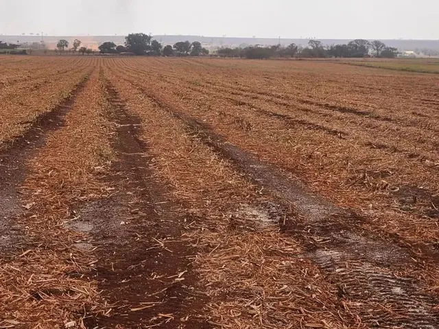 Imagem: Sitio em Ipuã S.p 24 Alqueires 13.200.000.00