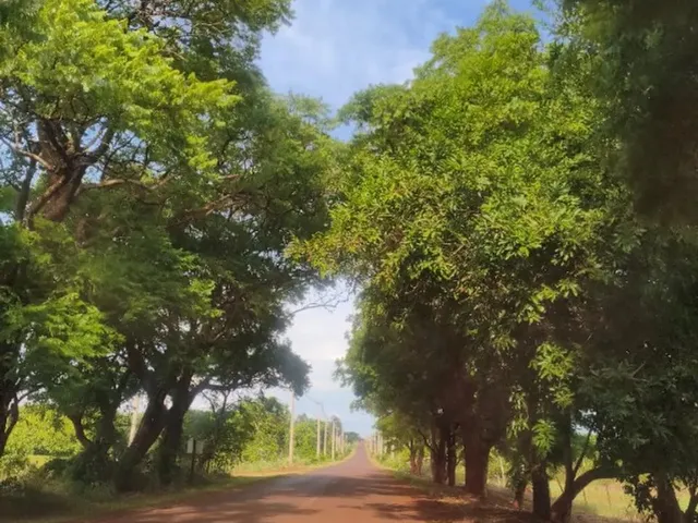 Imagem: Vende-Se Rancho em Miguelópolis