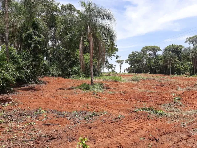 Imagem: Sitio 1,5 Alq Tabatinga Sp