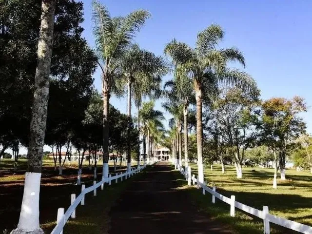 Imagem: Sítio em Cássia dos Coqueiros/Sp Aceita