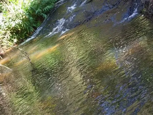 Imagem 1: Sitio em Cassia dos Coqueiros Sp