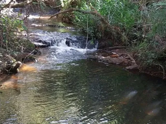 Imagem 3: Sitio em Cassia dos Coqueiros Sp