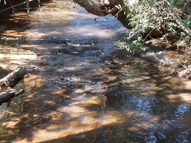Imagem 4: Sitio em Cassia dos Coqueiros Sp