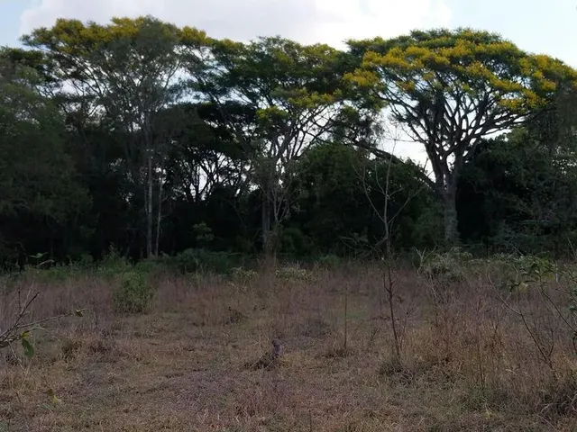 Imagem 5: Sitio em Cassia dos Coqueiros Sp