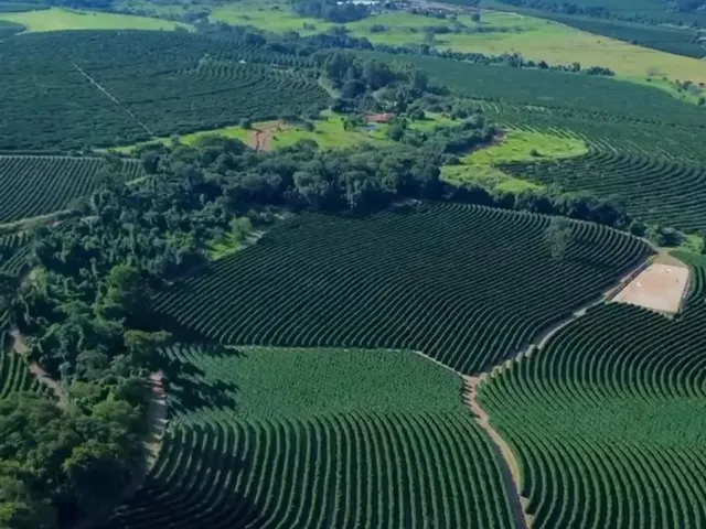 Imagem: Sítio 57Hectares Café Arábica Jeriquara