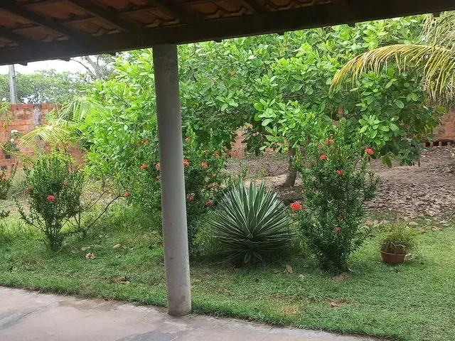 Imagem 8: Oportunidade em Barreirinhas