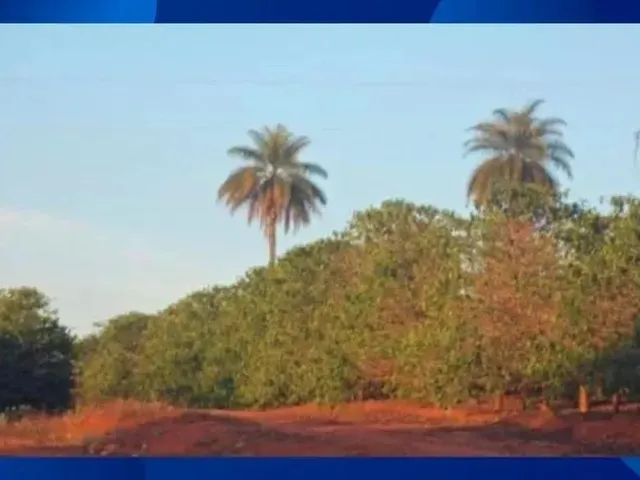 Imagem: Propriedade Rural no Lugar Denominado Fazenda