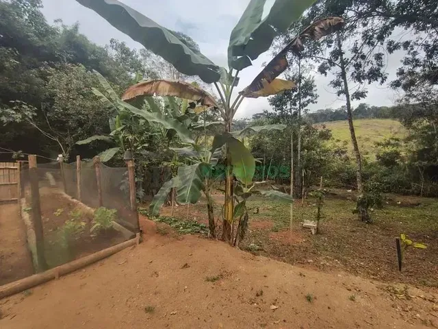 Imagem: Tr _ Terreno com 1800M, Local Lindo e Sossegado
