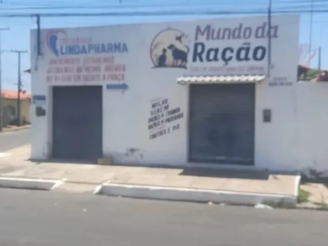 Imagem 4: Ponto Comercial em Campo Maior