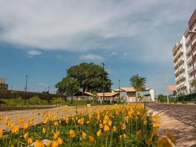 Imagem: Alugo Reserva Bambu Apt, com 3 Quartos em