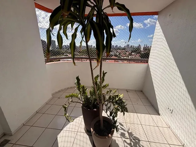 Imagem 3: Execelnte Apartamento - Bairro São João - 118 M²