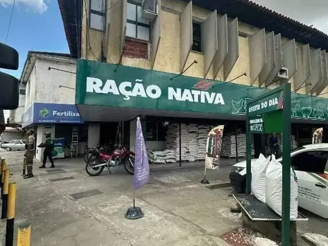 Imagem: Apartamento para Aluguel, 3 Quartos, Noivos