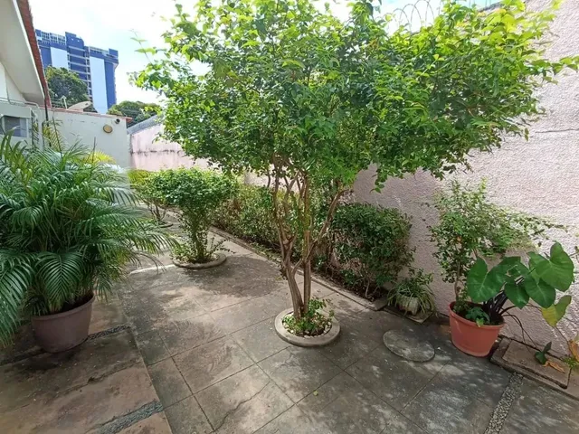 Imagem 9: Excelente Casa Comercial - Bairro Ilhotas - 765 M²