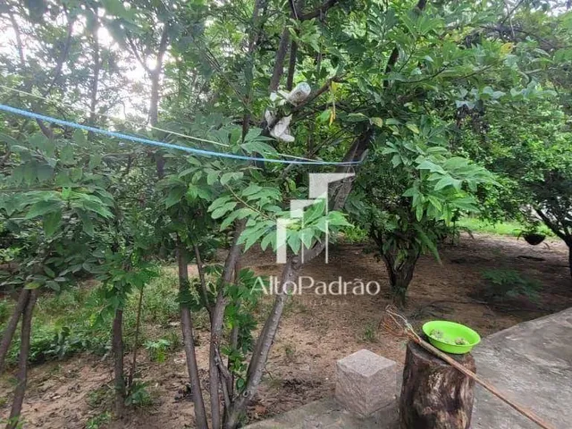 Imagem 12: Casa Térrea para Locação - Espaço e Conforto!
