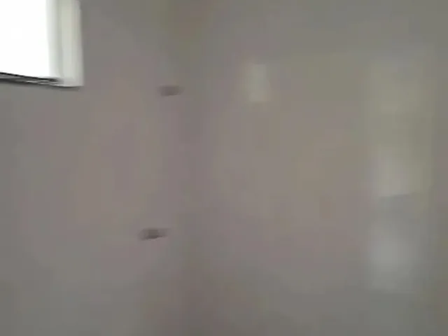 Imagem 16: Casa Jardim Primavera 70M²