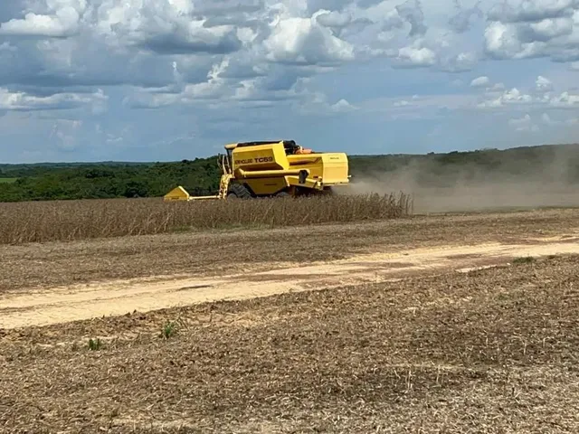 Imagem: A fazenda possui 850m² de Área e está localizado em