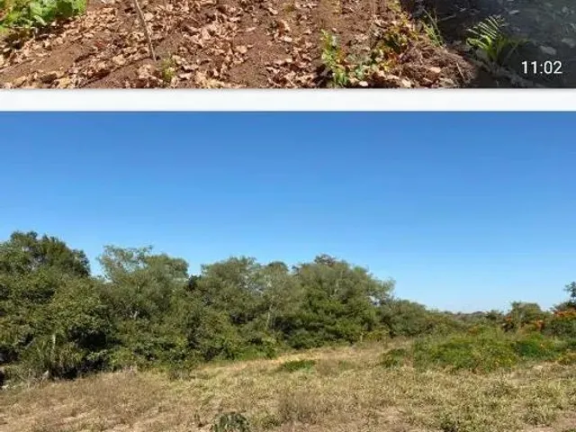 Imagem: Fazenda 2.385 Alqueires em Mirassol D Amp