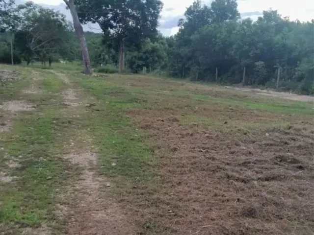Imagem 6: Chácara Coxipó do Ouro