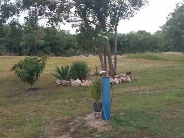 Imagem 14: Chácara Coxipó do Ouro