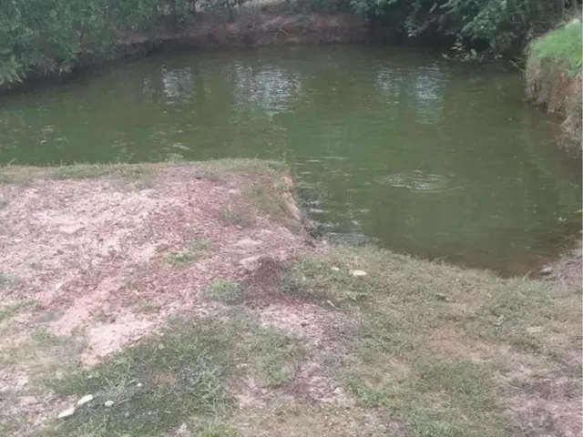 Imagem 3: Chácara Coxipó do Ouro