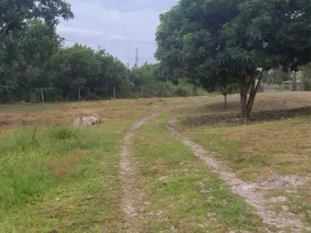Imagem 2: Chácara Coxipó do Ouro