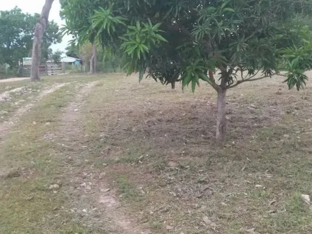 Imagem 15: Chácara Coxipó do Ouro
