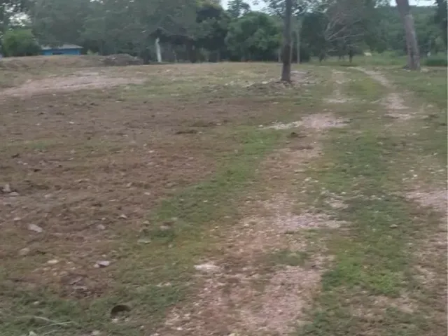Imagem 13: Chácara Coxipó do Ouro