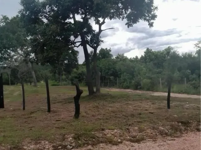 Imagem 5: Chácara Coxipó do Ouro