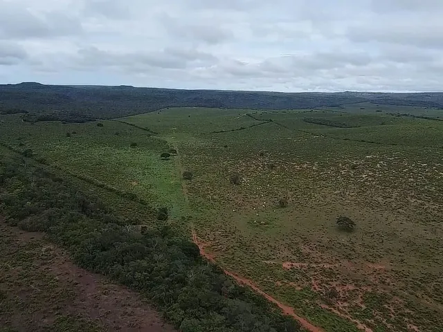Imagem: Imóvel para Venda com 2200 Metros Quadrados