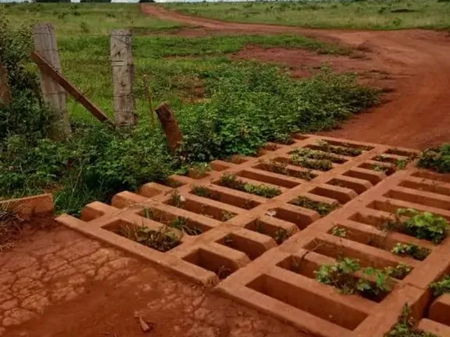 Imagem: A fazenda possui 1.500m² de Área e está localizado em