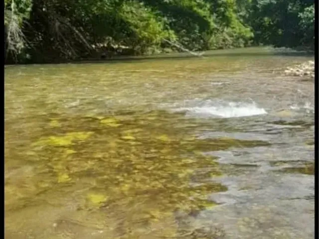 Imagem: Chácara Coxipó do Ouro