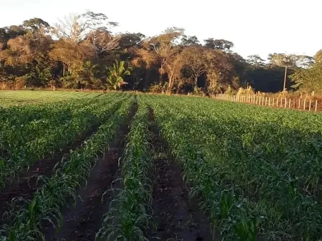 Imagem: Chácara 10.63Há em Santo Antônio do Leverger