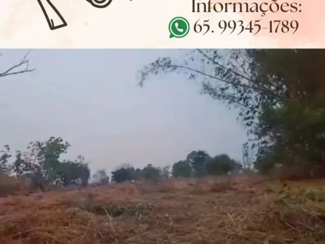 Imagem: Terreno - João Carro