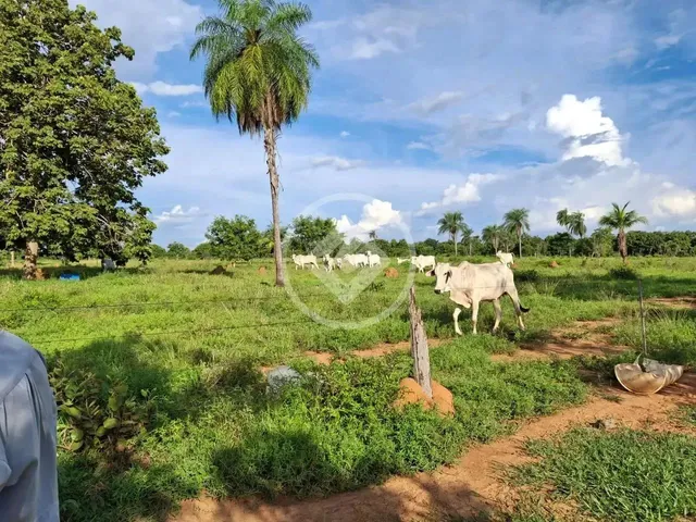 Imagem: A fazenda possui 6 Dormitórios, 2 Suítes, 50m² de Área