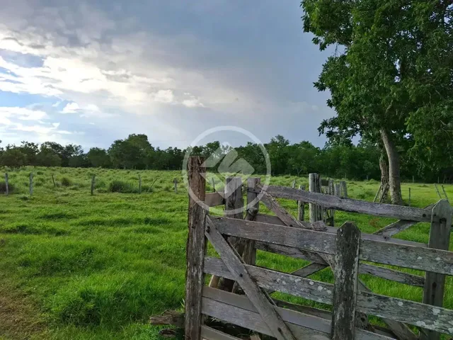 Imagem: A fazenda possui 16m² de Área e está localizado em