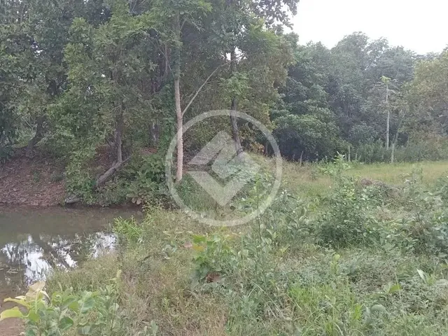 Imagem 15: Sitio em Poconé com 16 Ha com Duas Represas para Criação de Peixes Codigo: 116857