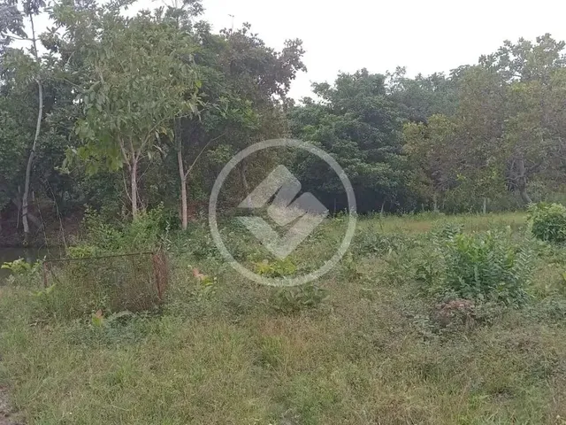 Imagem 12: Sitio em Poconé com 16 Ha com Duas Represas para Criação de Peixes Codigo: 116857