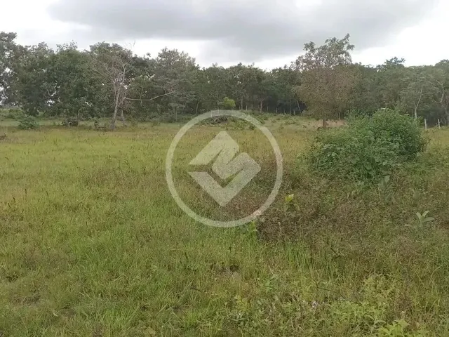 Imagem 13: Sitio em Poconé com 16 Ha com Duas Represas para Criação de Peixes Codigo: 116857