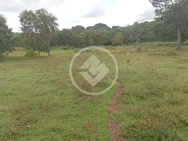 Imagem 2: Sitio em Poconé com 16 Ha com Duas Represas para Criação de Peixes Codigo: 116857