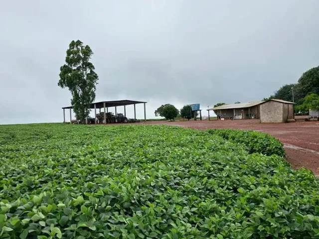 Imagem: A fazenda possui 1.200m² de Área e está localizado em