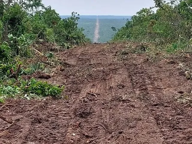 Imagem: Fazenda 8 Mil Hect em Tangará da Serra