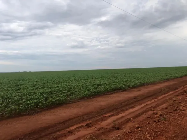 Imagem: Fazenda 3.364Hec em Lucas do Rio Verde