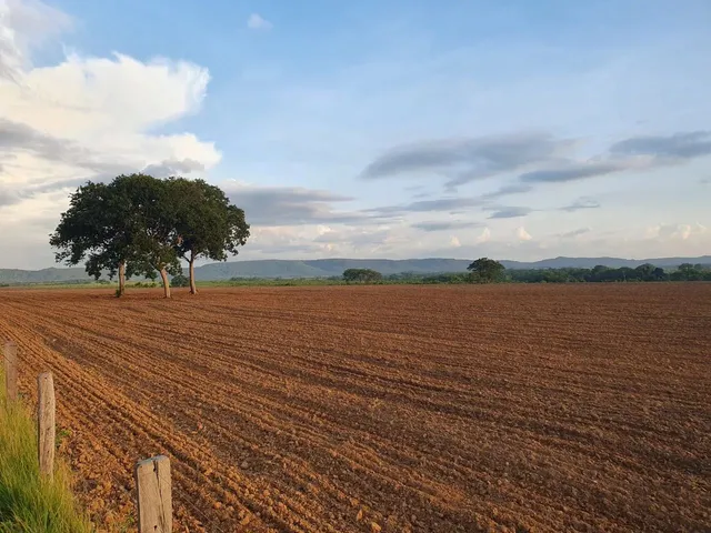 Imagem: Fazenda de 404 Hec em Nobres Mt. Com 300Hec