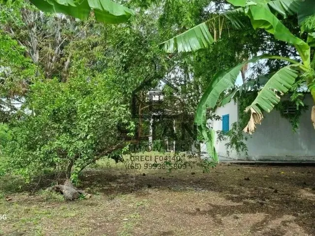 Imagem: Chácara À Venda em Rosário Oeste 3 Quartos