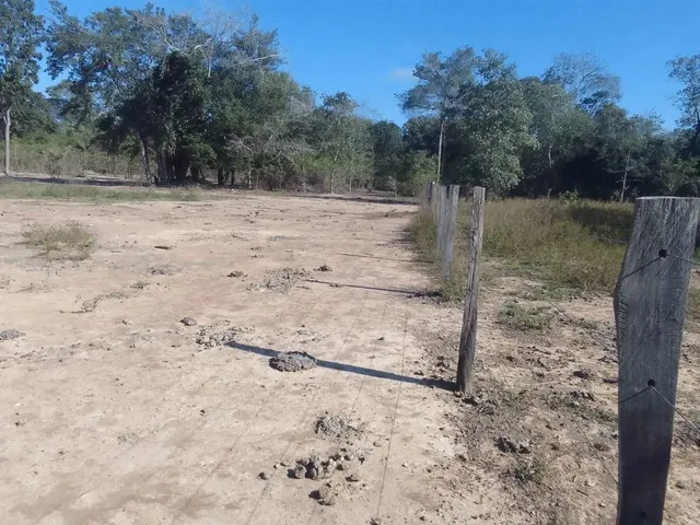 Imagem 2: Vendo Lote em Barão de Melgaço, Comunidade Piuva 35.000R