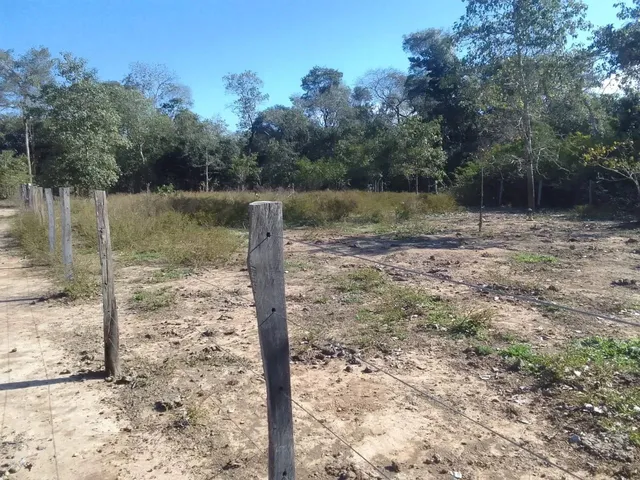 Imagem 3: Vendo Lote em Barão de Melgaço, Comunidade Piuva 35.000R