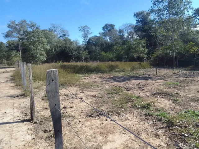 Imagem 4: Vendo Lote em Barão de Melgaço, Comunidade Piuva 35.000R