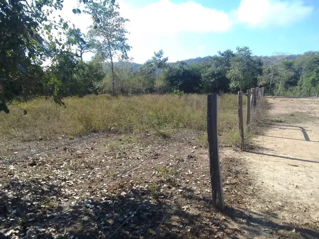 Imagem 6: Vendo Lote em Barão de Melgaço, Comunidade Piuva 35.000R