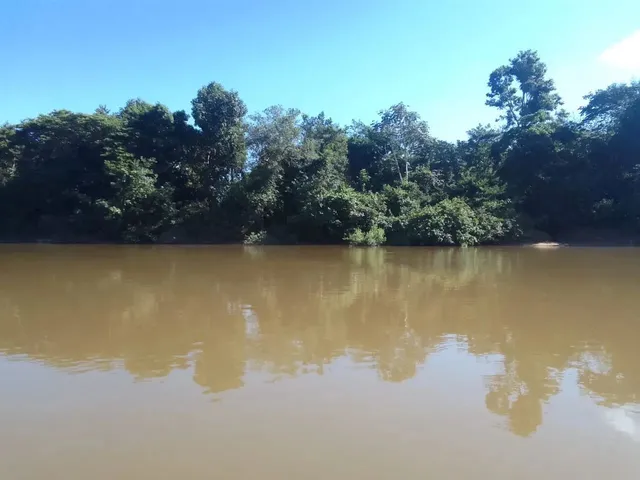 Imagem 7: Vendo Lote em Barão de Melgaço, Comunidade Piuva 35.000R