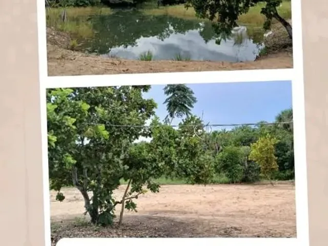 Imagem: Chácara 8 Hectares